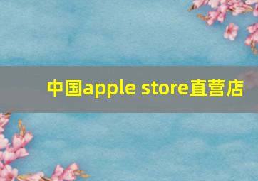 中国apple store直营店